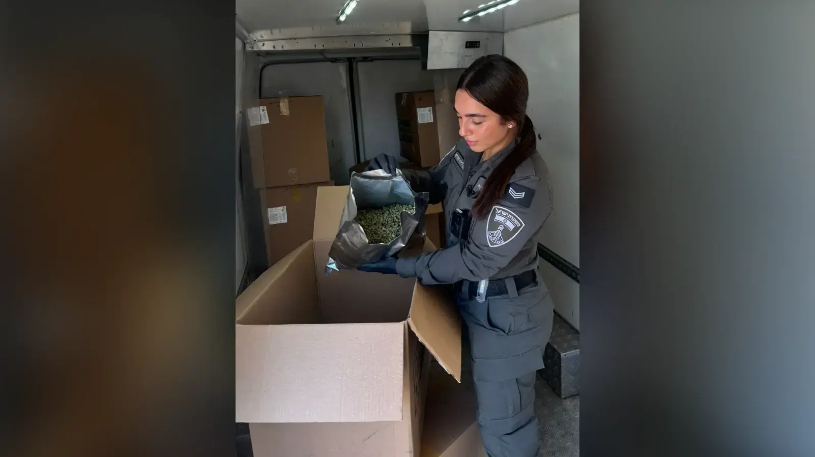 כמעט חצי טון קנאביס נמצא במשק במרכז הארץ