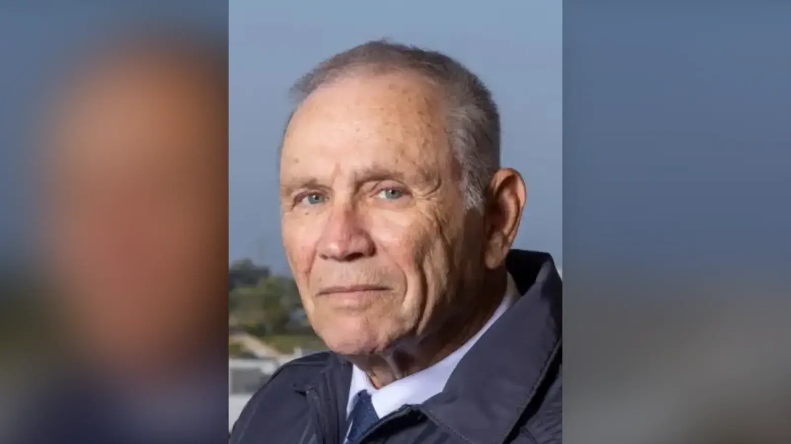 חכ״ל אלי גולדשמיט, הליכוד