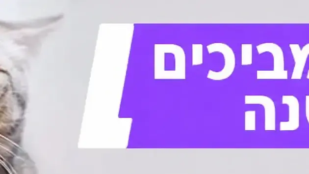 הרגעים המביכים של השנה הרגעים המביכים של השנה