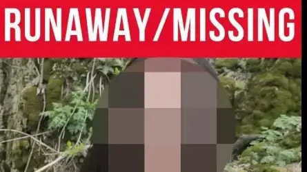 ג'וב בינקלי, המואשם בהתערבות משמורת על נערה שנעדרה 263 ימים ונמצאה בביתו באוהיו, ארצות הברית ג'וב בינקלי, המואשם בהתערבות משמורת על נערה שנעדרה 263 ימים ונמצאה בביתו באוהיו, ארצות הברית