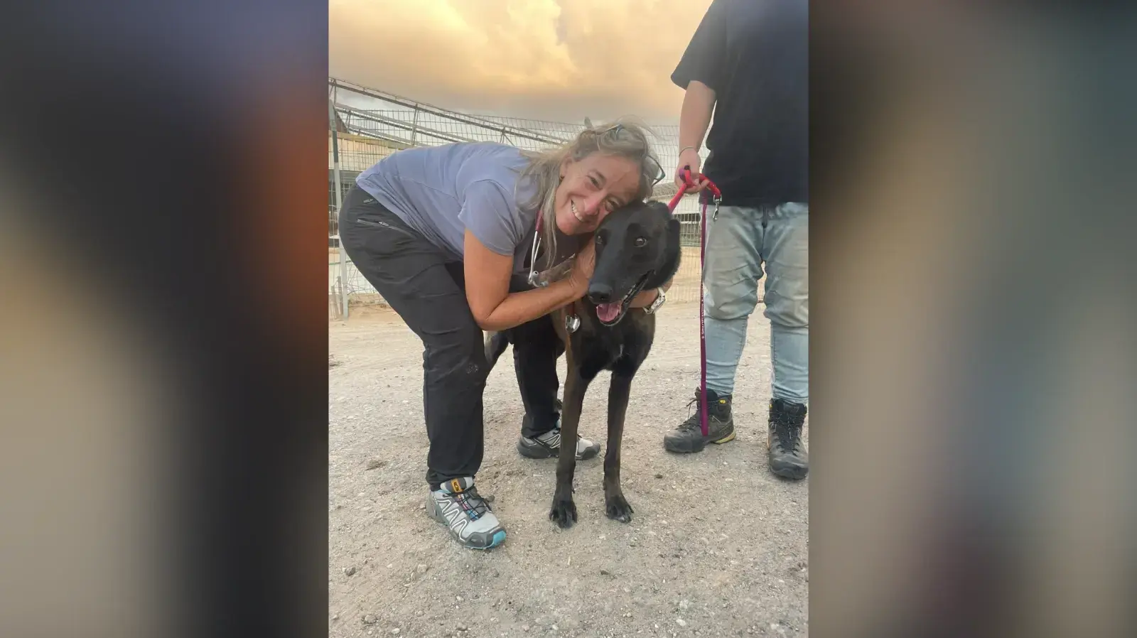 ד"ר גליה שלו, הווטרינרית שהצילה מאות חיות מחמד בשבעה באוקטובר ד"ר גליה שלו, הווטרינרית שהצילה מאות חיות מחמד בשבעה באוקטובר