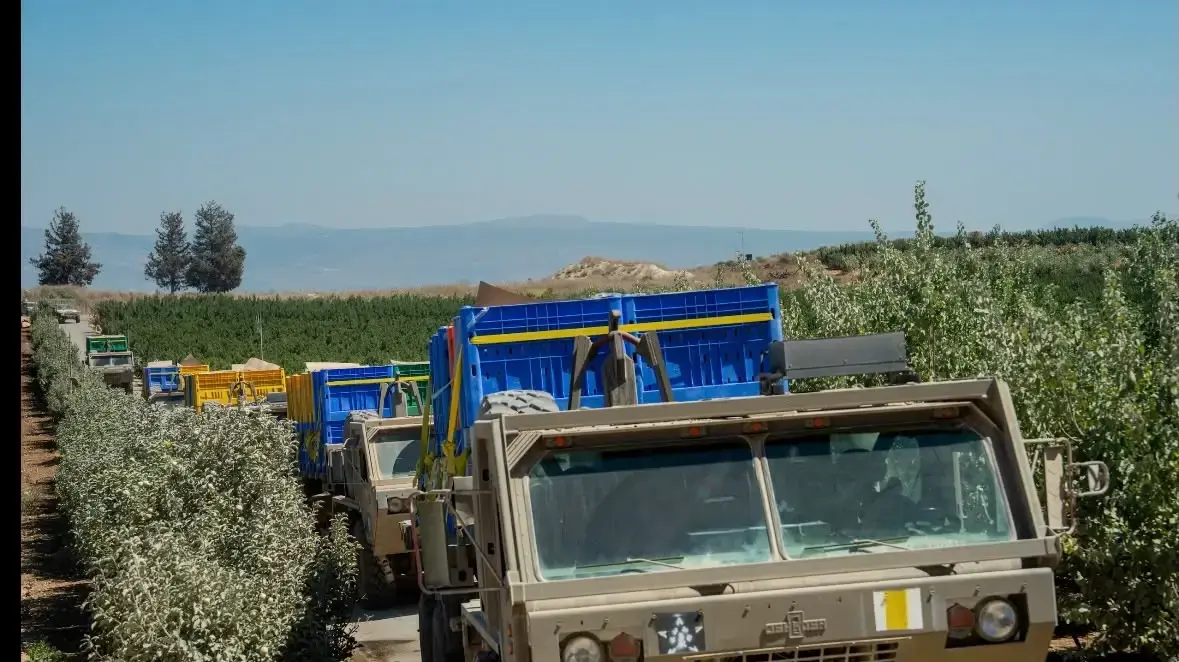 שינוע חומרי חבלה לרכס עלי טהאר שינוע חומרי חבלה לרכס עלי טהאר