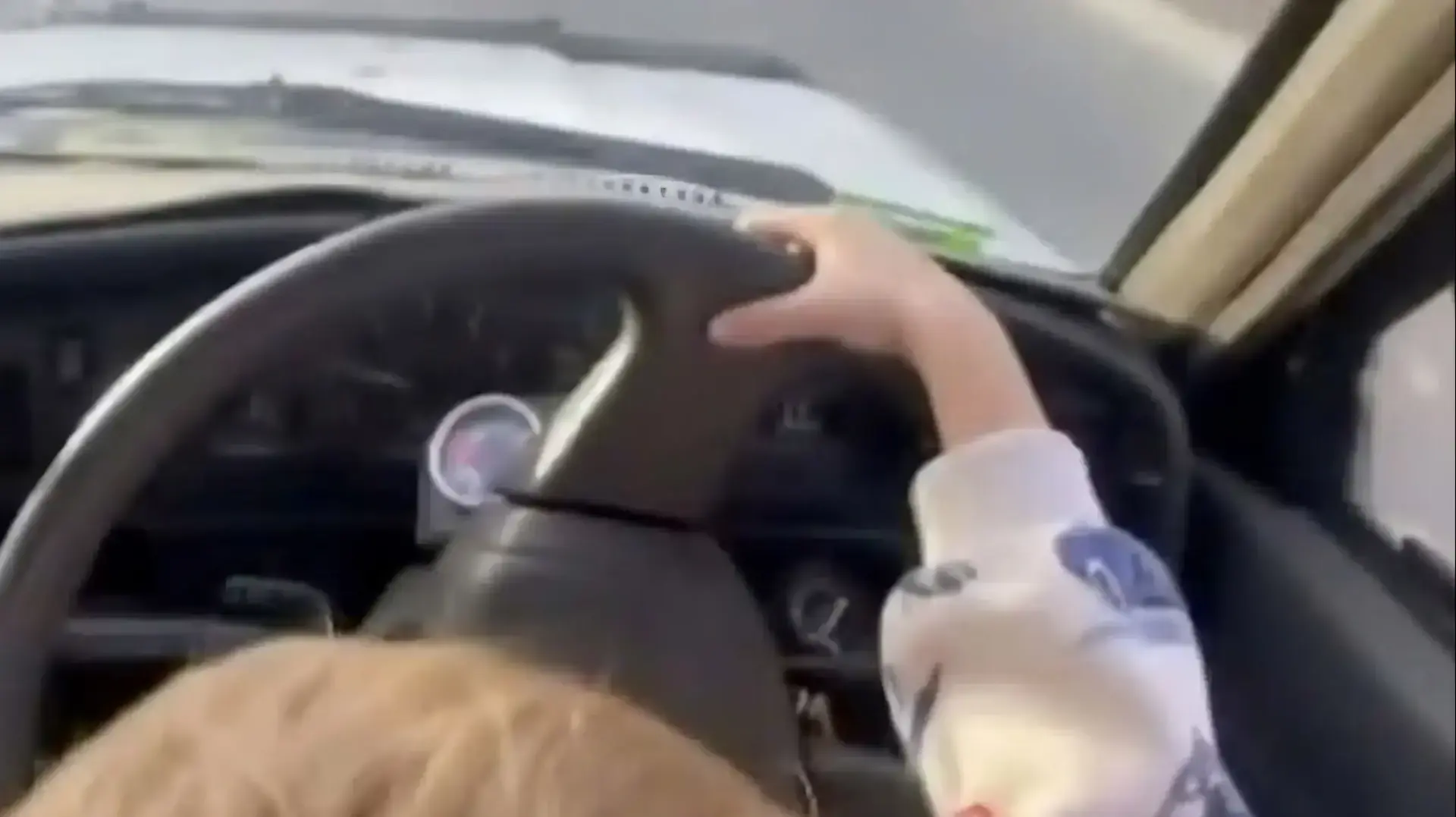 ילד בן 3 תועד נוהג בטנדר ילד בן 3 תועד נוהג בטנדר