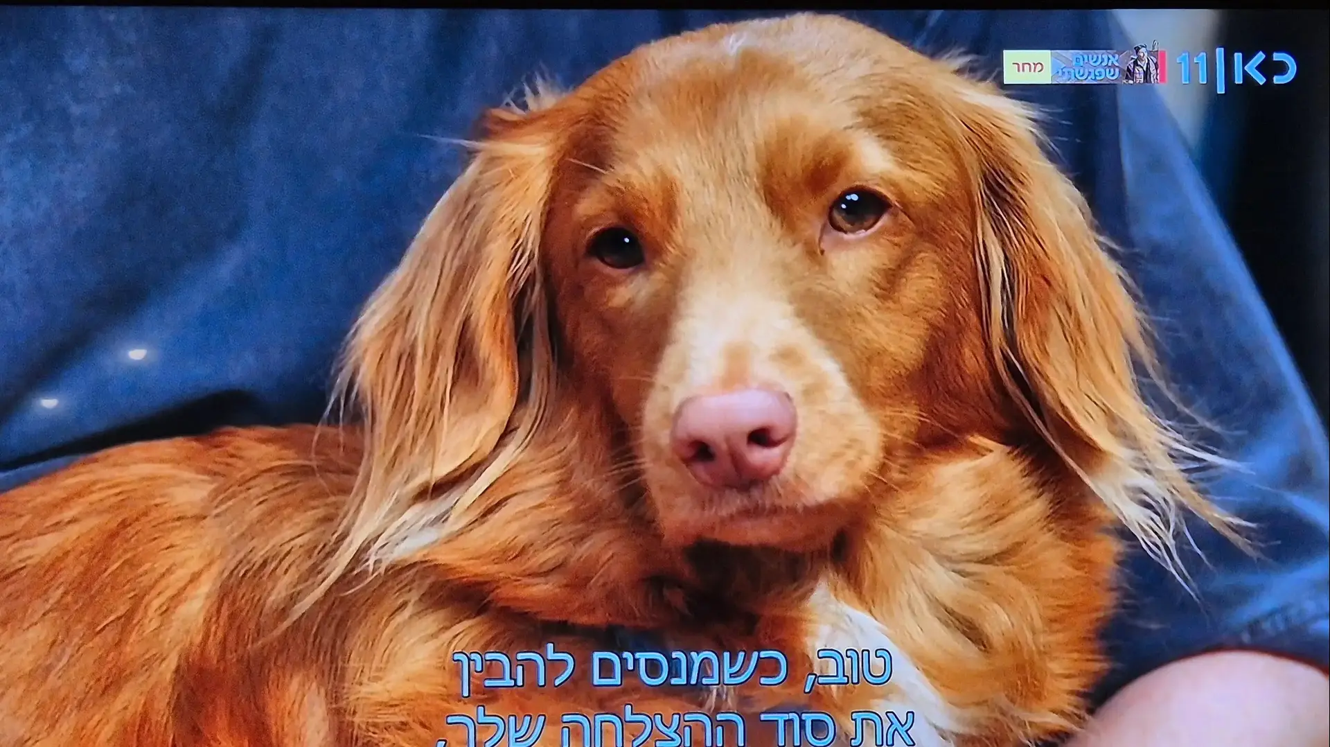 סטאר הכלבה של אסף רפפורט, "פגישה" עם רוני קובן, כאן 11 סטאר הכלבה של אסף רפפורט, "פגישה" עם רוני קובן, כאן 11