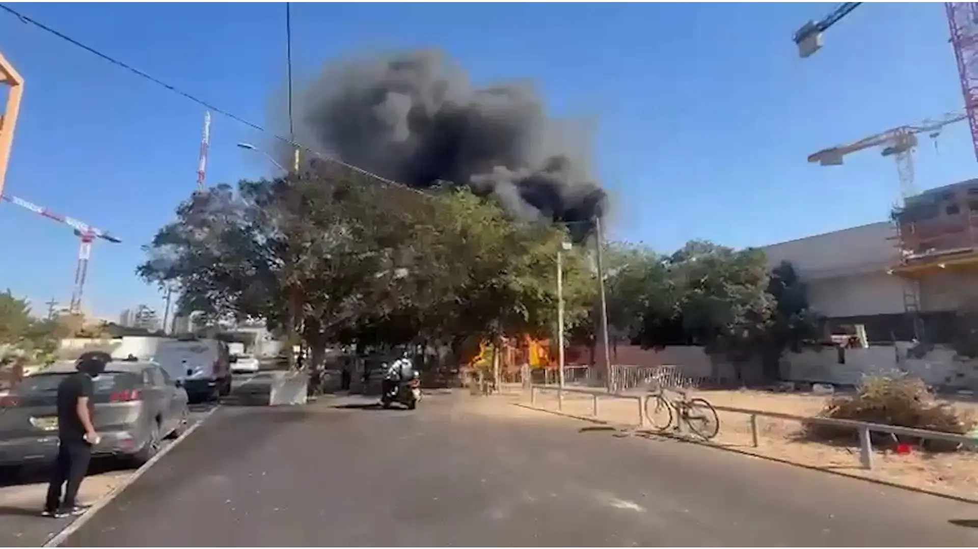 שלושה נערים חשודים בהצתה של גנים ציבוריים ביפו