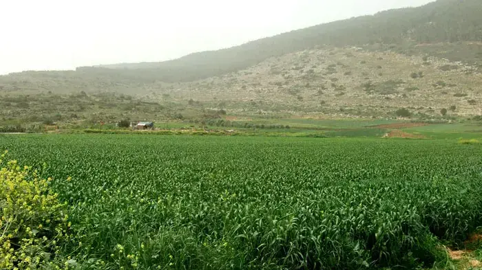 חקלאים בעמק בית נטופה