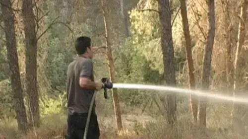 שריפה ביער המלכים