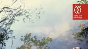 פנים צרובי חמה - שמעון אדף