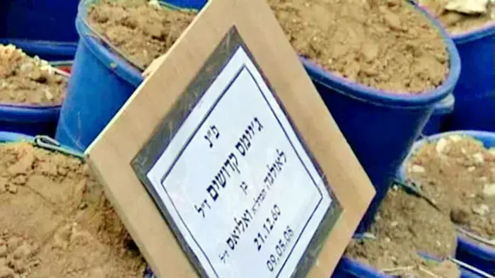 הלוויה של ג'ימי קדושים  