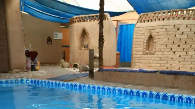 וואטסו 