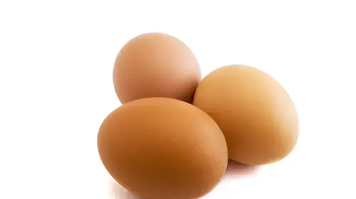 אילוסטרציה אילוסטרציה
