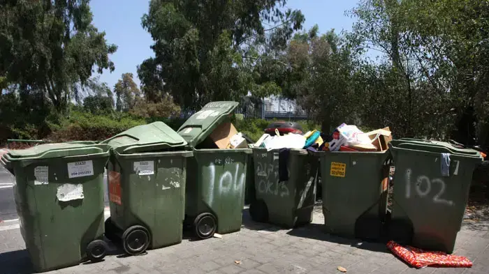 אילוסטרציה אילוסטרציה