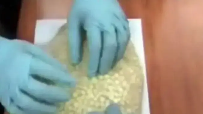 אקסטזי הוברח בשימורי נקניקיות