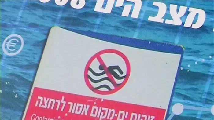 דו"ח צלול 2008    