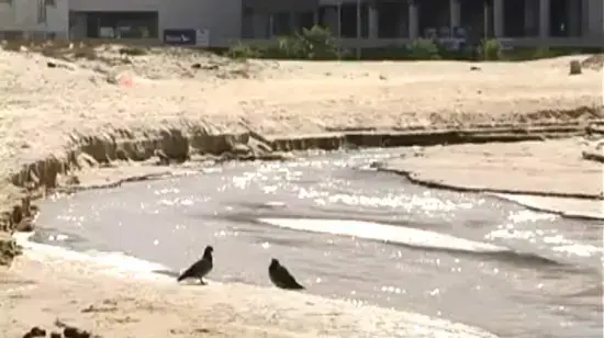 עמותת צלול מבקשת לסגור את חופי אשדוד מחשש לזיהום