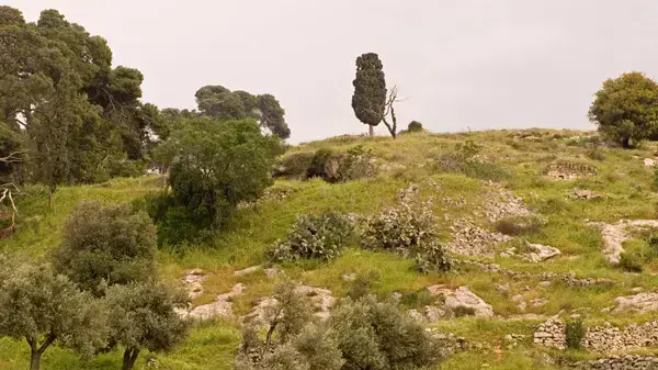 אילוסטרציה