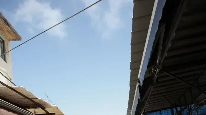 קניות בשוק
