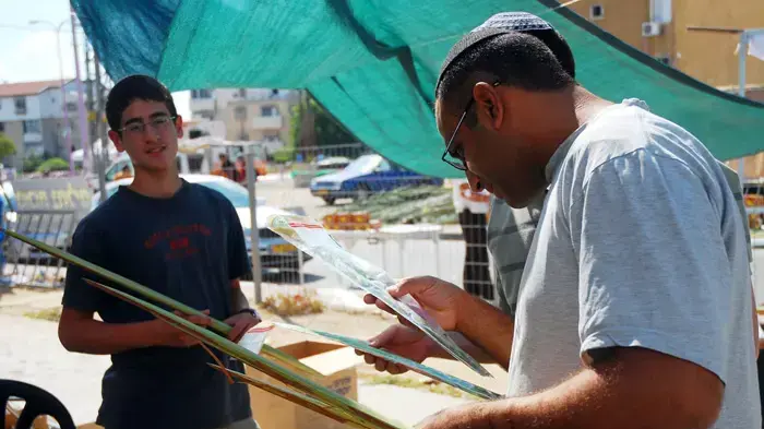 סוכות 