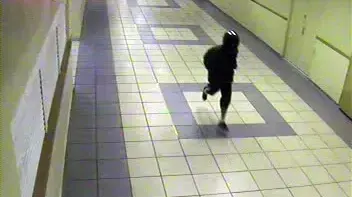 מטעם צינור הושלך לעבר פאב בלונדון מיניסטור