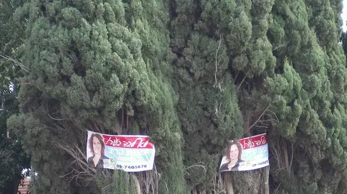 שלט של יפעת קריב, הוד השרון שלט של יפעת קריב, הוד השרון