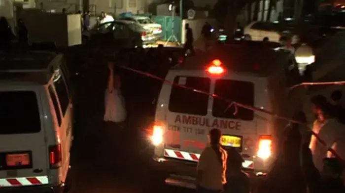 שוב רצח בעולם התחתון, חבר בארגונו של משפחת אבוטובול