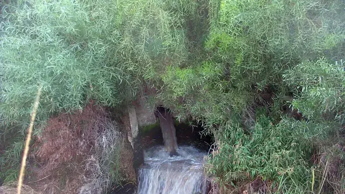 הזרמת שפכים לנחל שורק