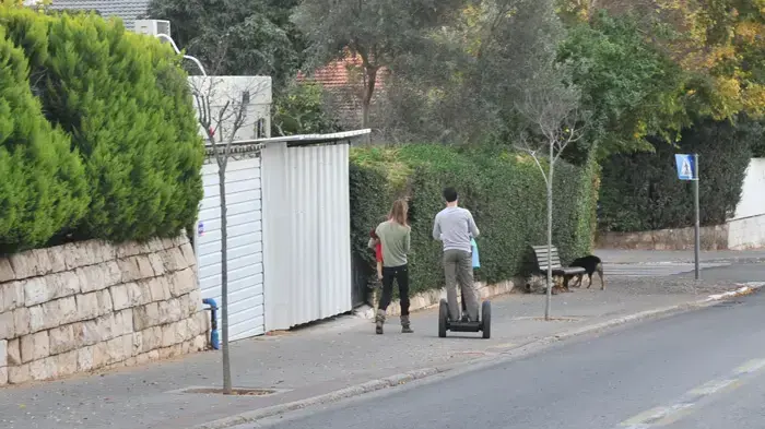 פפראצי אביב גפן, שני פרידן, הבן דילן גפן והכלב