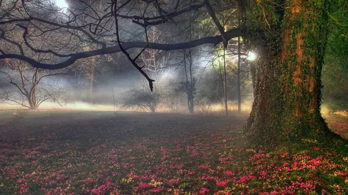 הדפסת צבע של מרב מרודי " Vrana - the kinds Garden" ביריד "צבע טרי" הדפסת צבע של מרב מרודי " Vrana - the kinds Garden" ביריד "צבע טרי"