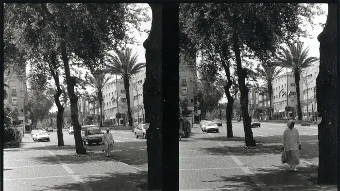 דוד פרלוב  צילומי תל אביב