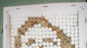 עבודה של שפרה קורנפלד ושירי שלו גלריית החווה