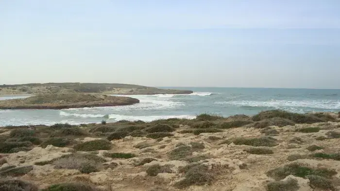 חוף הבונים