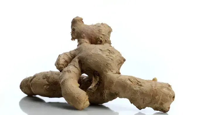 אילוסטרציה אילוסטרציה
