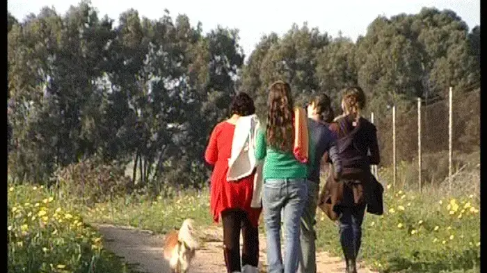 אושרה בנייה בשטח פתוח בין רמת השרון לתל אביב