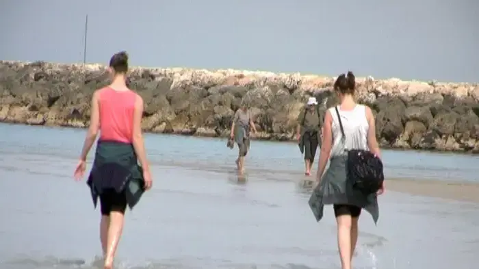 חוף הים
