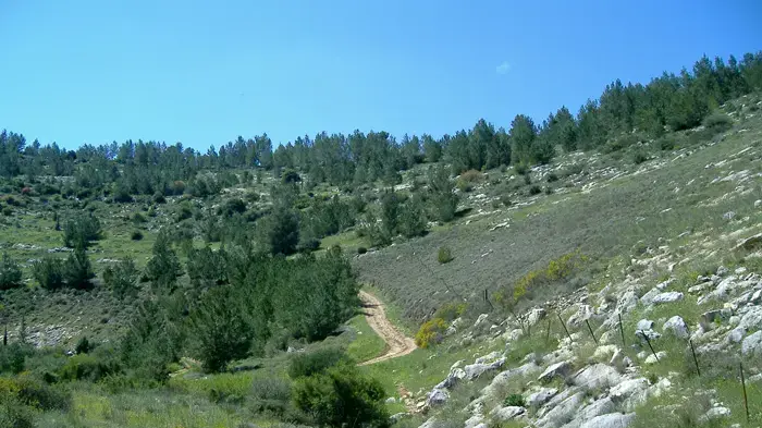 נחל יתלה