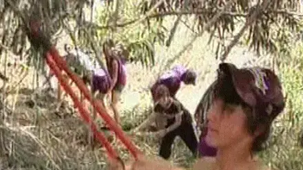 מבצע לניקוי הכנרת לקראת פסח