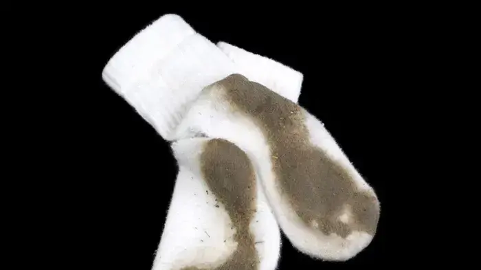 אילוסטרציה אילוסטרציה