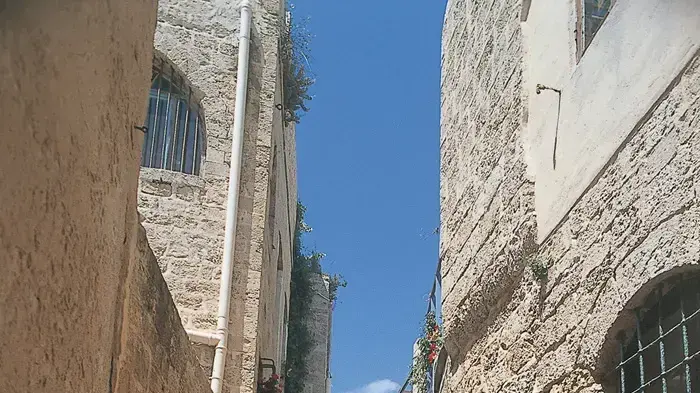 יפו 10