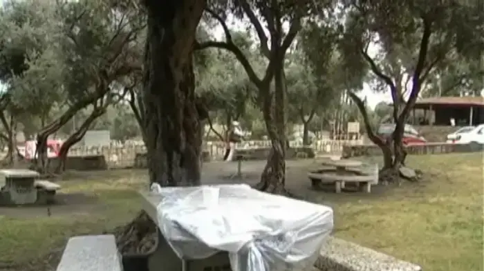 מימונה גשומה באשקלון