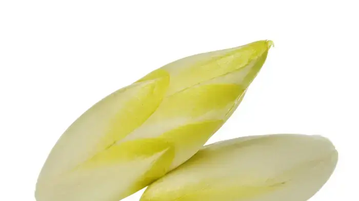 אילוסטרציה אילוסטרציה