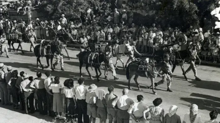 אילן זולברג 1965