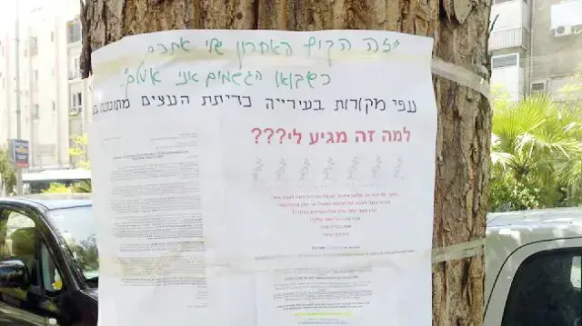 מודעה של חברי ועד הצפון הישן בתל אביב נגד כריתת עצים 