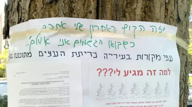 מודעה של חברי ועד הצפון הישן בתל אביב נגד כריתת עצים 