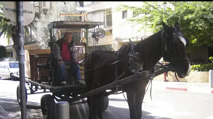 תלמידי נעמי שמר  מקומות נוסטלגים
