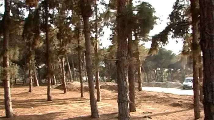 תושבים מנסים לשמור על ריאה ירוקה בדרום תל אביב
