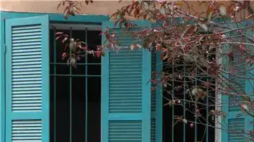 נטע פרץ - חלון