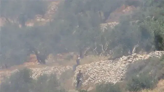 מתנחלים הציתו שריפה בבורין
