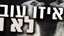 נחשו איזו עובדה לא נכונה
