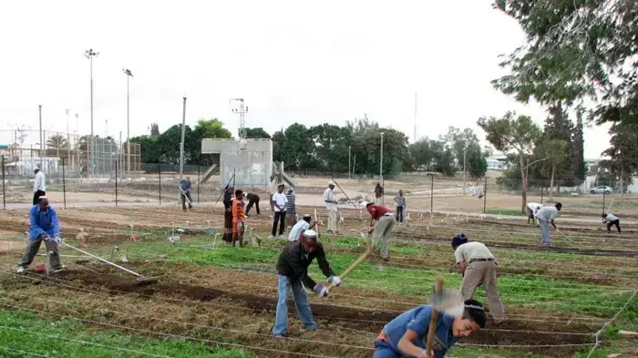 גינה קהילתית בשכונה ג' בבאר שבע