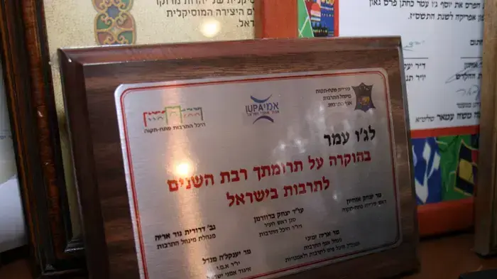 ג'ו עמר 